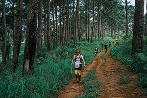 BIB: 
                            <button type="button" onclick="openModal(25668735)" class="btn btn-primary btn-sm float-right btn-popup" data-toggle="modal" data-target=".modal-high-quality">
                        <i class="fas fa-shopping-cart"></i> Add to Cart
                    </button>
                                            <button type="button" onclick="isThisMe(25668735, true)" class="btn btn-success btn-sm float-right btn-popup btn-isme hidden" data-toggle="tooltip" data-placement="bottom" title="นี่คือรูปของคุณใช่ไหม คลิกที่นี่เพื่อเอาเข้าอัลบั้ม">
                        <i class="fas fa-plus"></i> Add to album
                    </button>
                    <button type="button" onclick="isThisMe(25668735, false)" class="btn btn-warning btn-sm float-right btn-popup btn-isnotme hidden">
                        <i class="fas fa-ban"></i> Remove from album
                    </button>